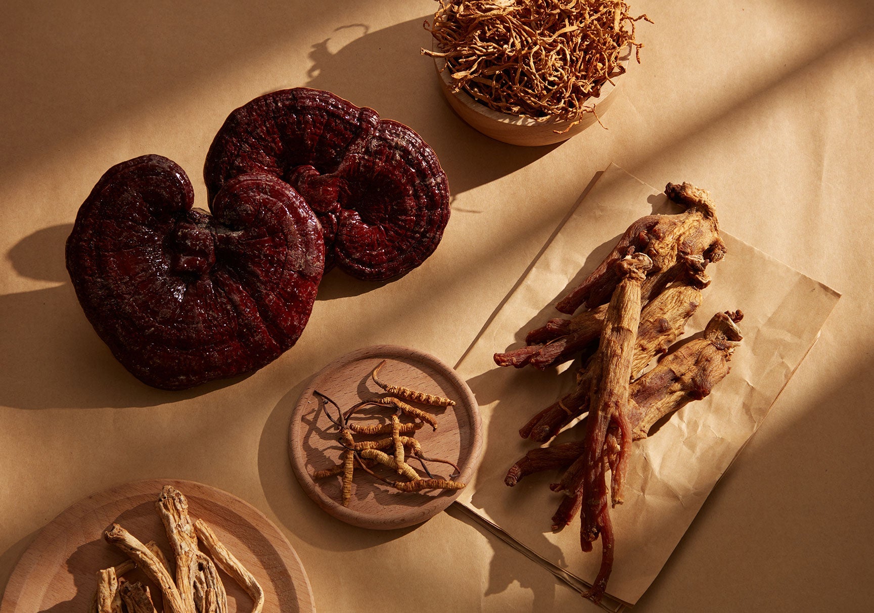Rare elements include dried roots, cordyceps, ginseng, Ganoderma lucidum, against a backdrop of yellow paper