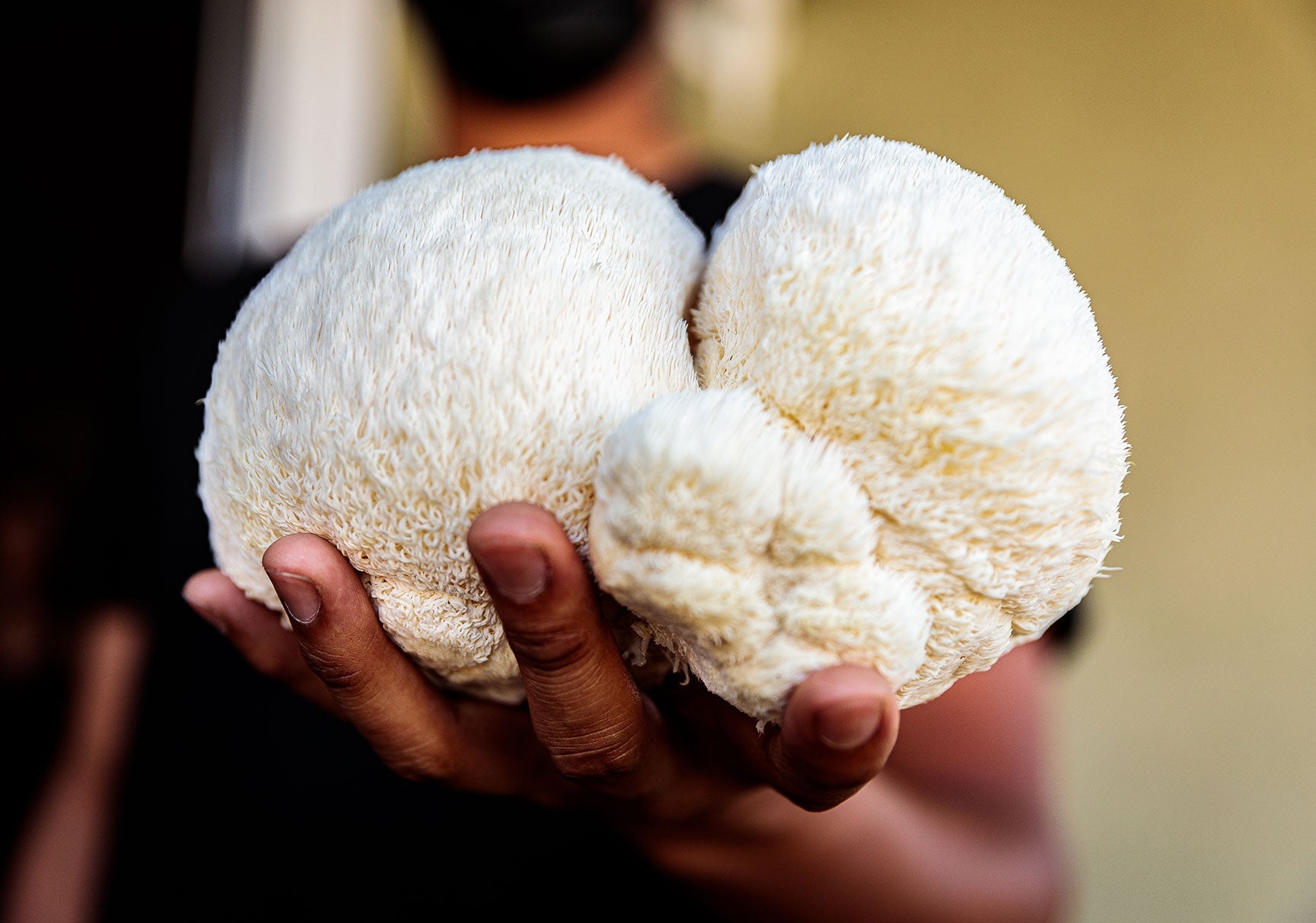 A person indoors holding a white mushroom-like object close-up, with their fingers visible, showcasing the object's texture and details.