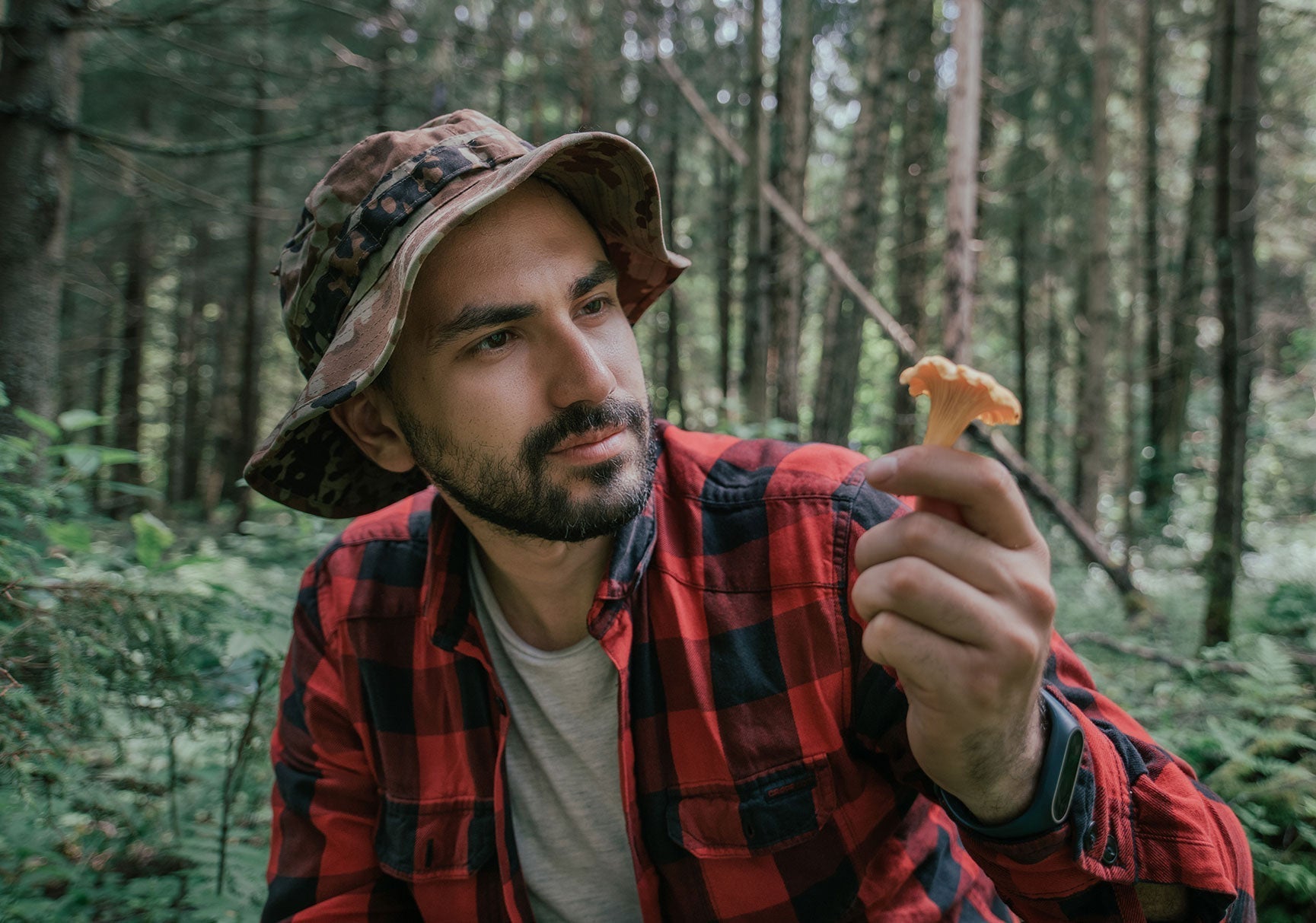 A man in a hat and plaid shirt holds a mushroom in the woods, his bearded face partially visible.