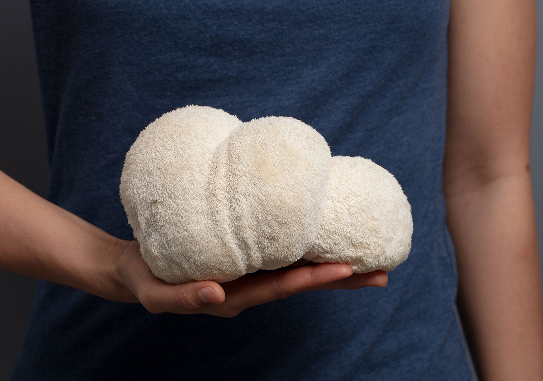 A person holding a fluffy white object, with a visible hand and fingernail, captured in a close-up, indoor setting.