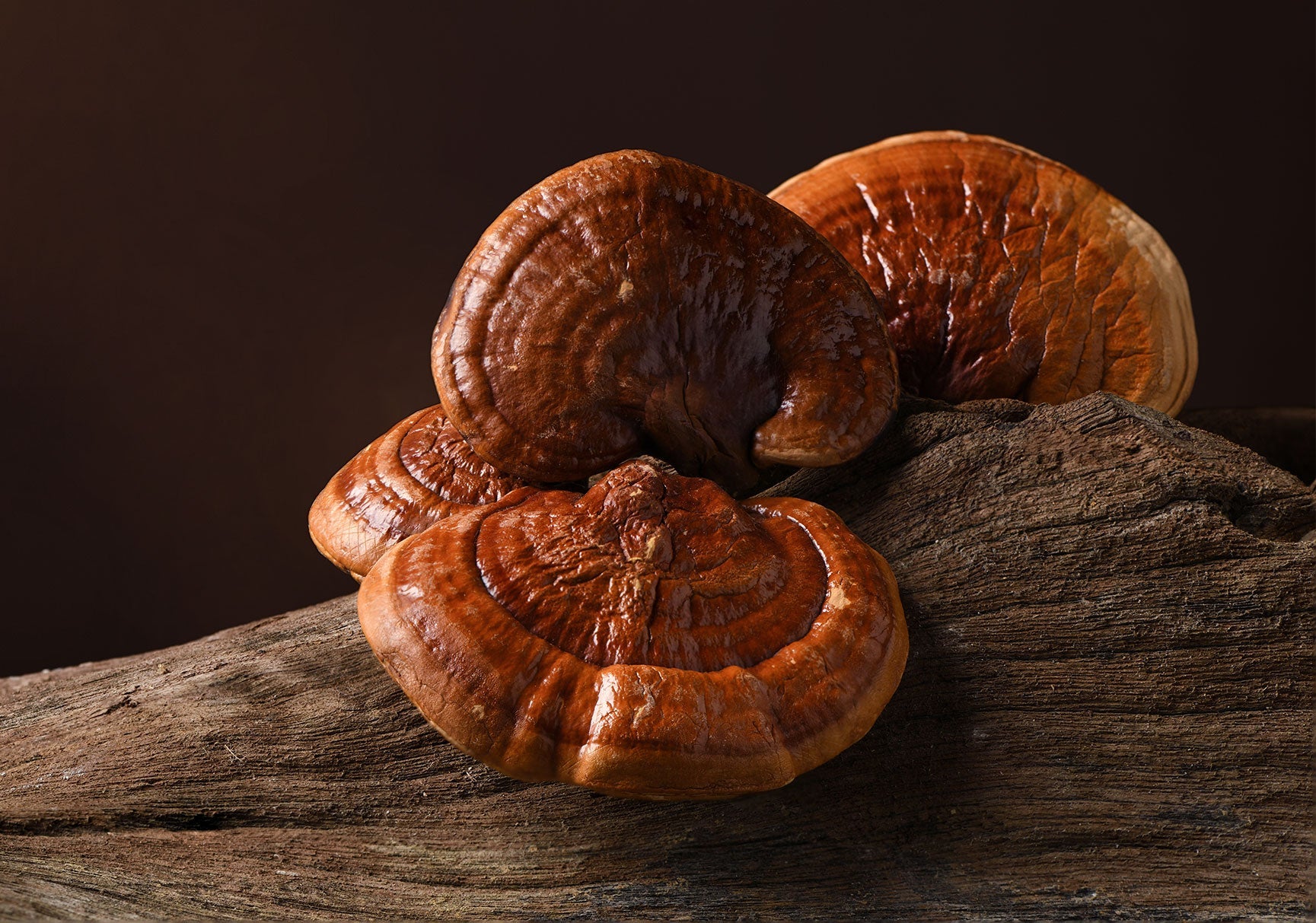 A cluster of brown mushrooms rests on a piece of wood, showcasing various close-up views of their textured caps.