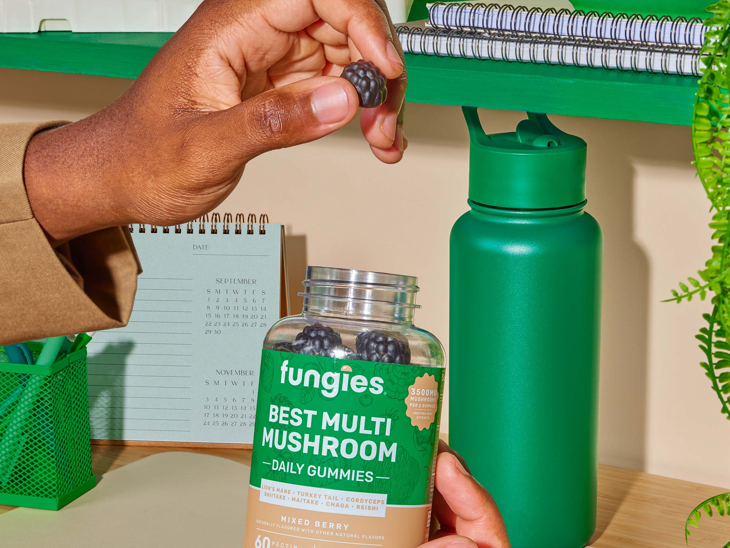 A man holding a bottle of Fungies Best Multi Mushroom Gummies before work for enhanced wellness